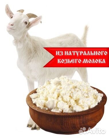 Творог из козьего молока Творог из козьего молока