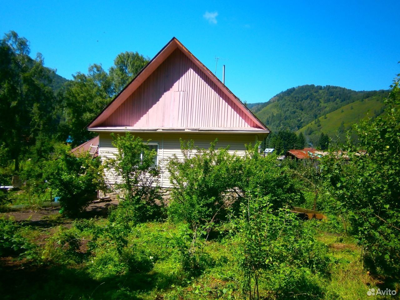 Авито алтайское купить недвижимость. Село Алтайское улица Лесная. Алтайский. Лесное Алтайский край. Село Алтайское недвижимость.