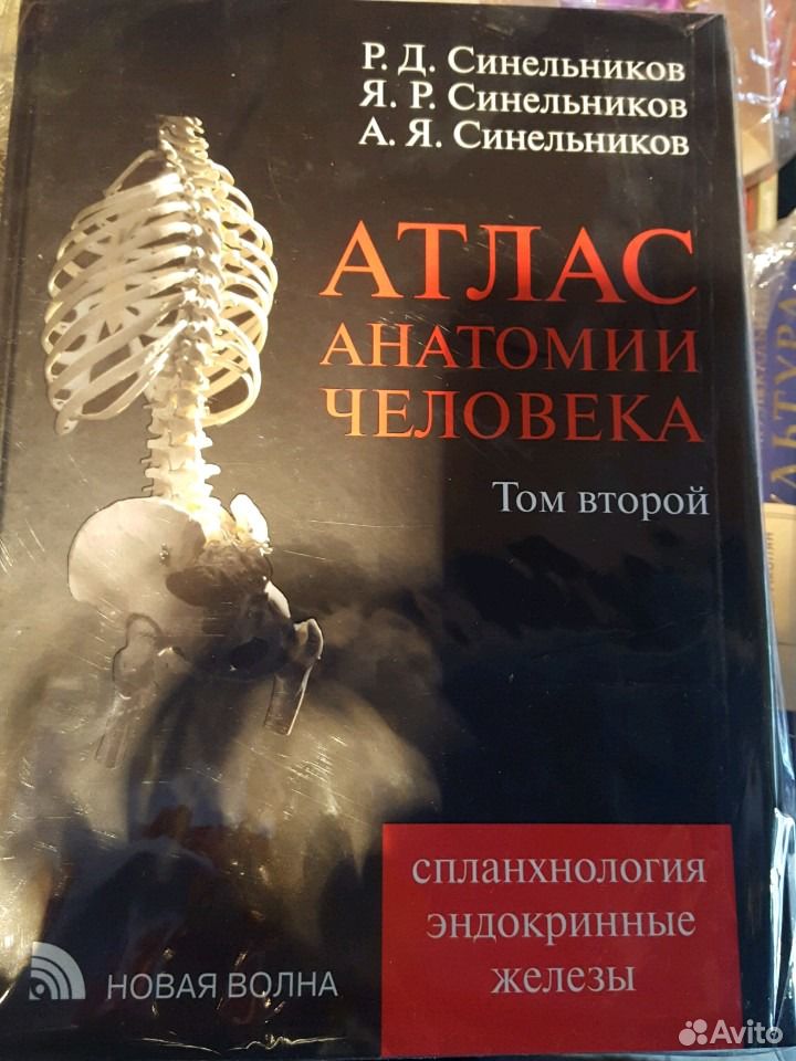 Синельников 2 том. Синельников атлас 2 том. Синельников анатомия 2 том. Атлас по анатомии Синельников для стоматологов.