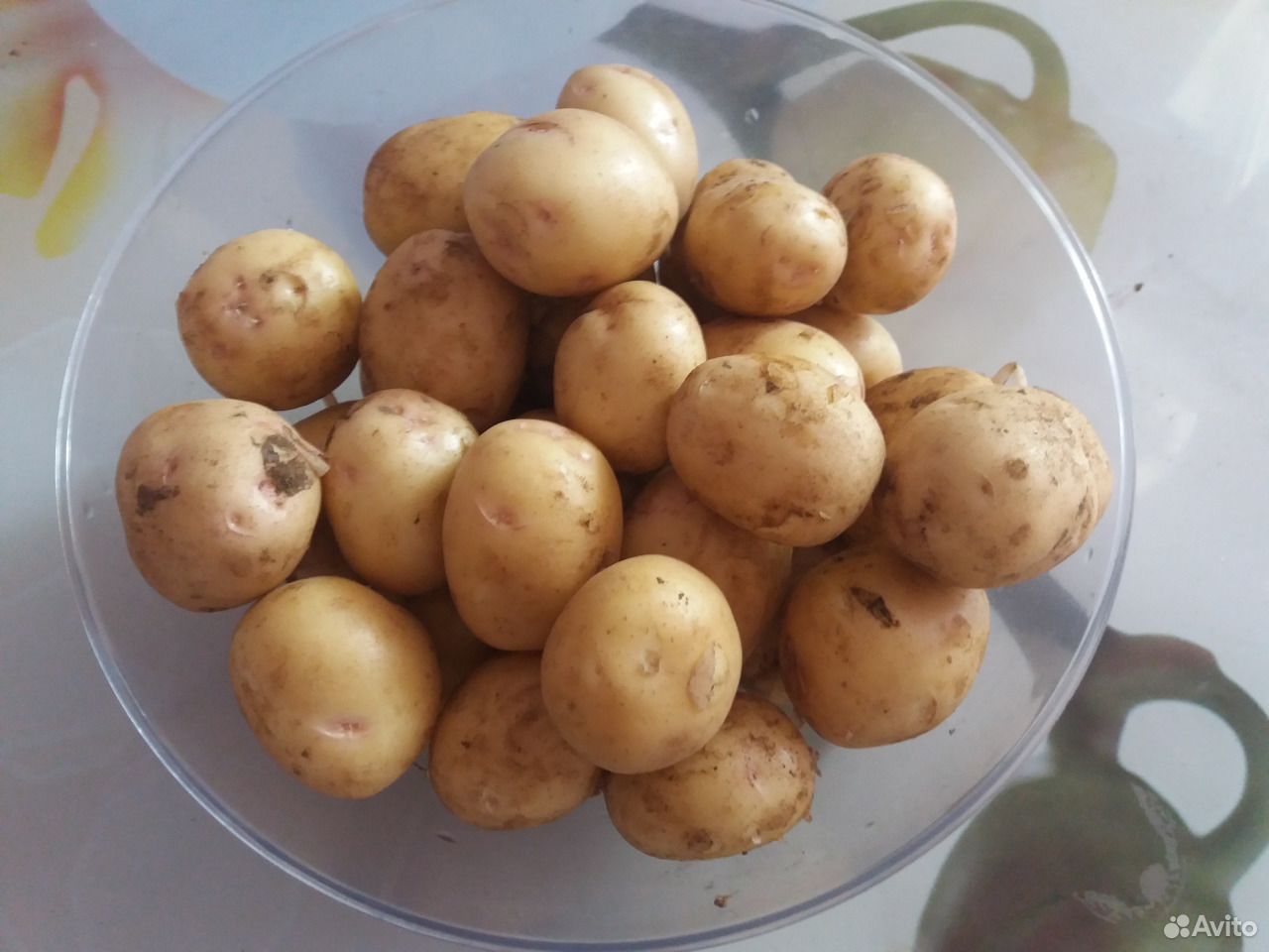 Молодая дачная картошка купить на Зозу.ру - фотография № 2