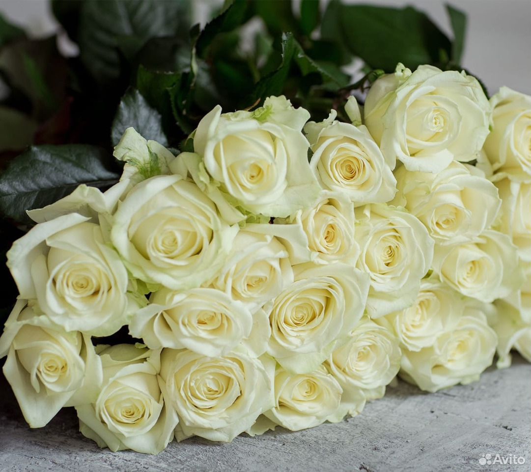 Букет из 25 белых роз купить на Зозу.ру - фотография № 2