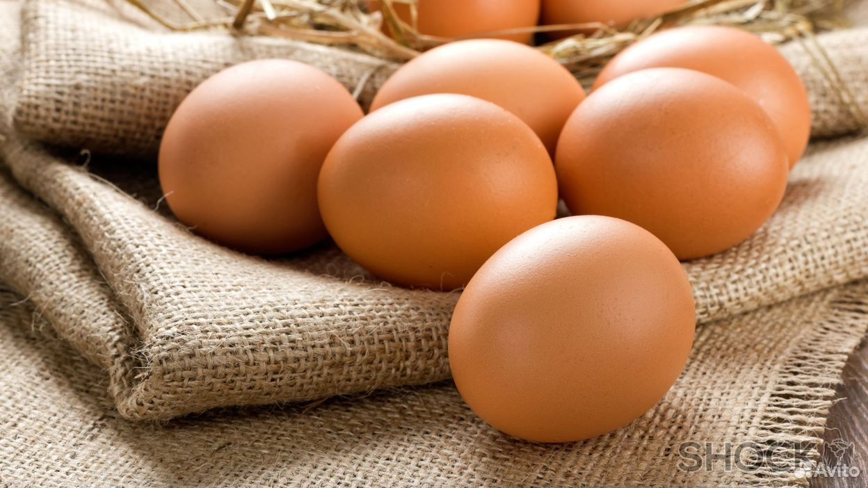 Домашние яйцо купить на Зозу.ру - фотография № 1