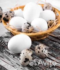 Яйца домашние куриные и перепелиные купить на Зозу.ру - фотография № 1