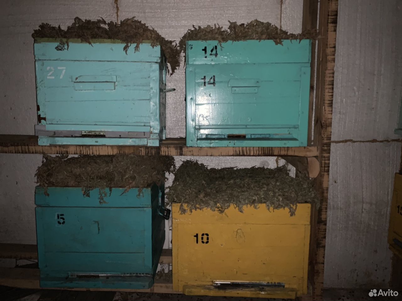 Продаю 16 ульев, пчелы купить на Зозу.ру - фотография № 1