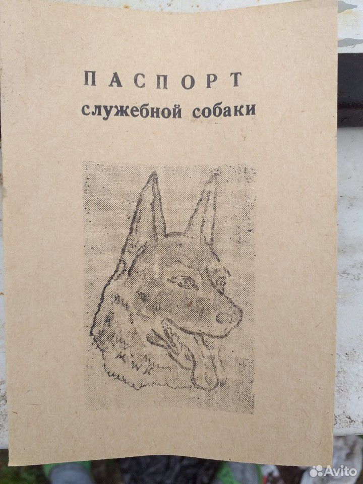 Паспорт на собаку купить на Зозу.ру - фотография № 2