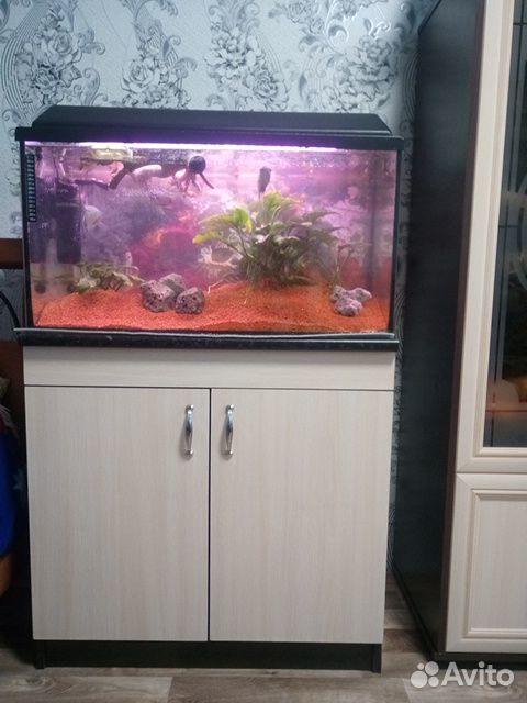 Продаю аквариум с рыбками купить на Зозу.ру - фотография № 2