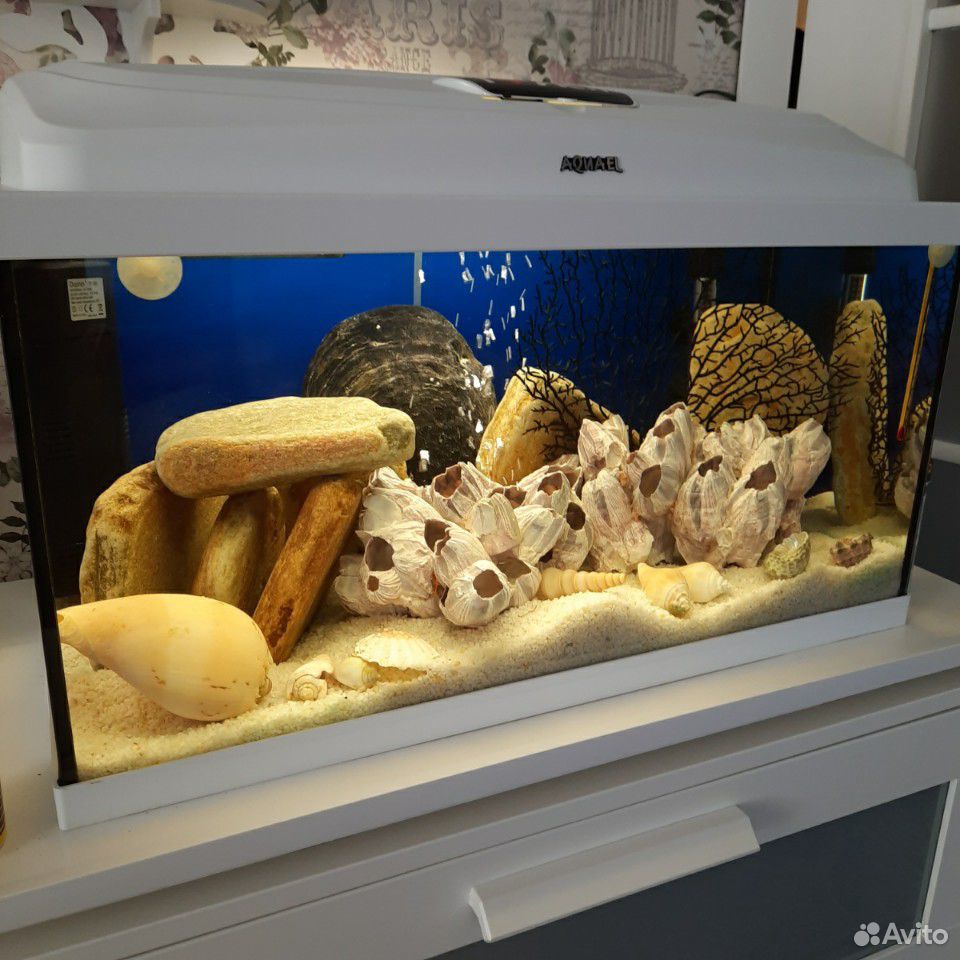 Белый аквариум фирмы Акваэль купить на Зозу.ру - фотография № 1
