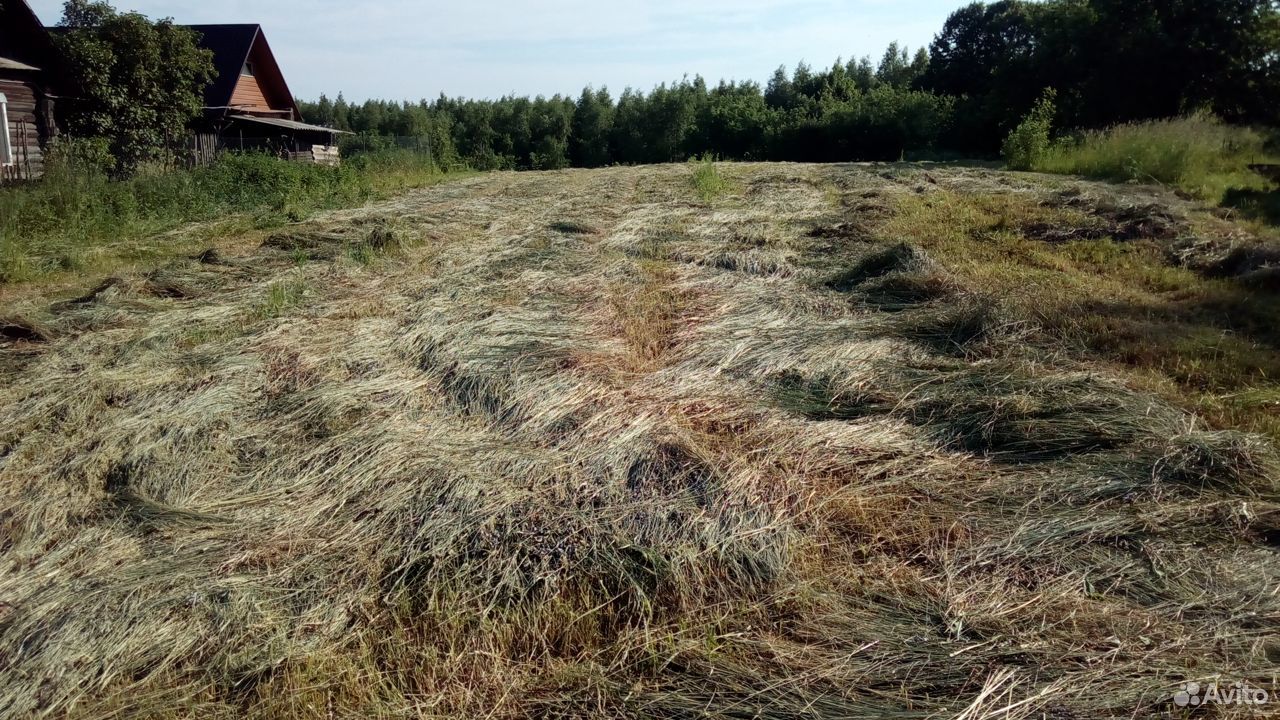 Скошенная трава под сено купить на Зозу.ру - фотография № 1