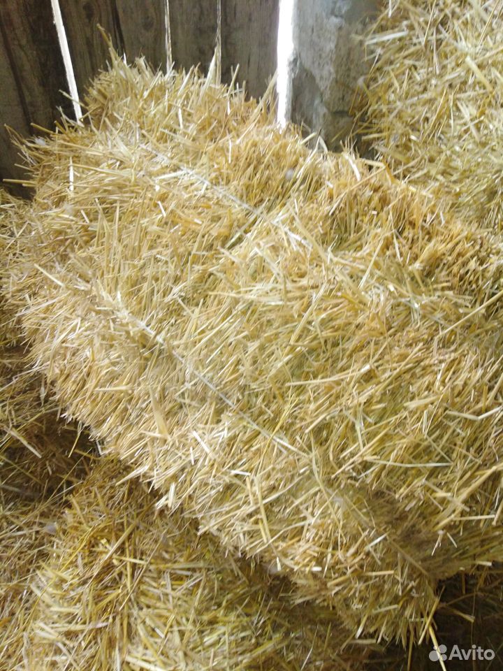 Пшеничная солома купить на Зозу.ру - фотография № 1