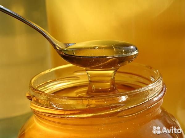 Мёд липовый купить на Зозу.ру - фотография № 1
