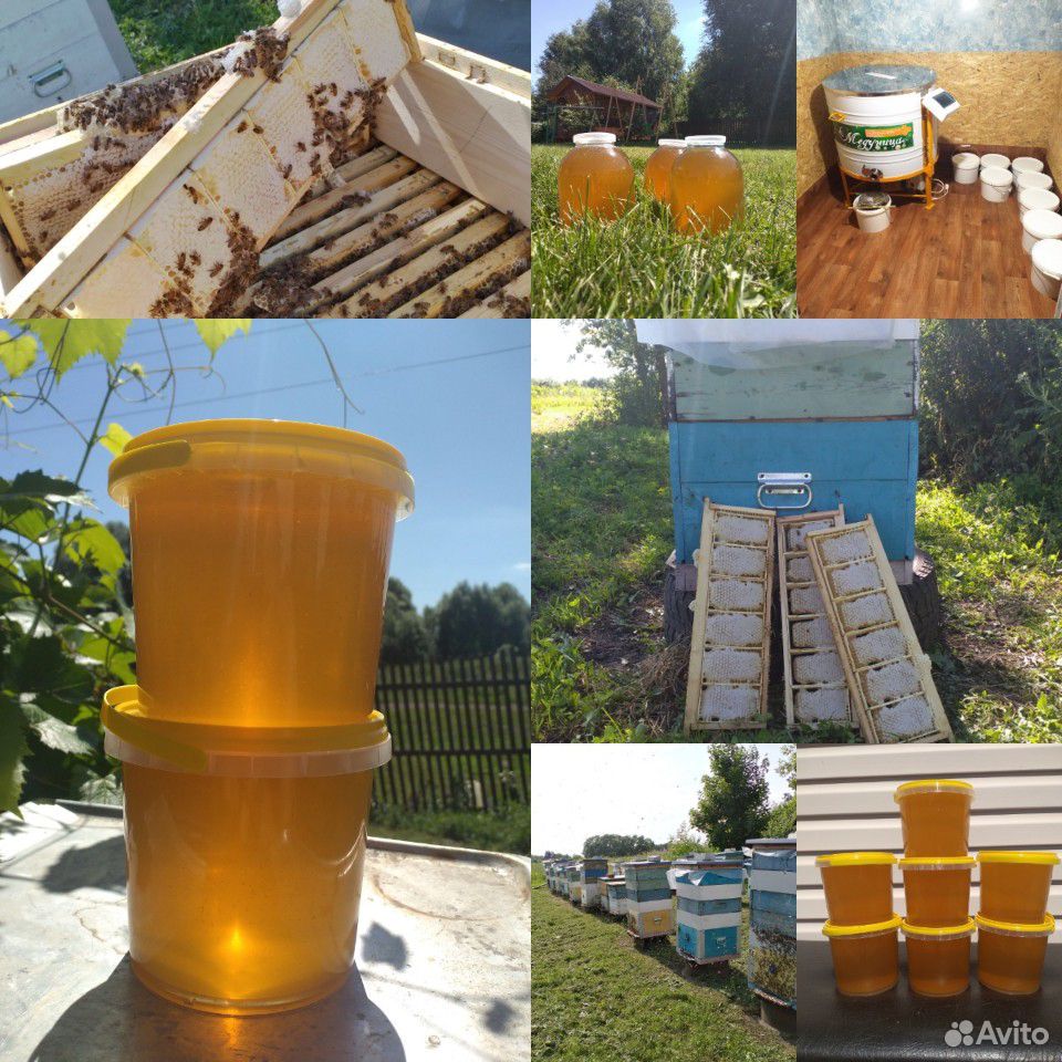 Мёд с личной пасеки. урожай 2020г купить на Зозу.ру - фотография № 3