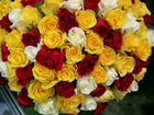 Букет из 101 розы 50см, доставка цветов объявление продам