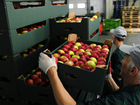 Доставка фрукты-овощи, сухофрукты и специи объявление продам