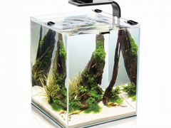 Нано аквариумы 30-50-55 литров 3 штуки