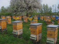 Весь инвентарь для пчеловодства