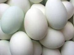 Розничная и оптовая продажа яиц Башкирских уток