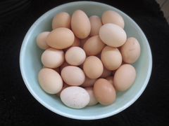 Яйца инкабуцыонные от домашних кур разных пород