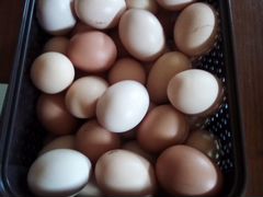 Свежие домашние яйца