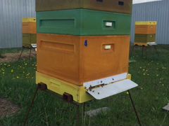 Продается пчелосемья