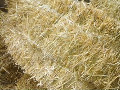Пшеничная солома