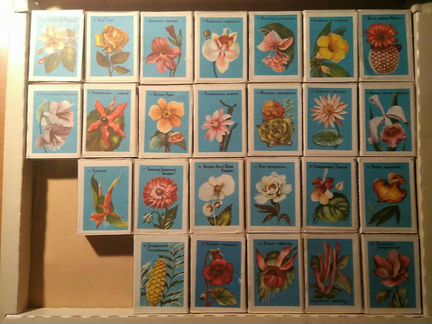 Спички коллекция цветов СССР (28 шт)