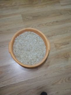 Плющенное зерно