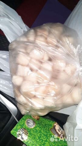 Морской гребешок