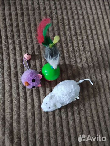 Игрушки для кошек ошейник любая 100