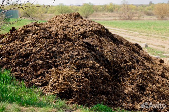 Навоз перегной