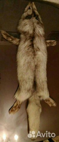 Шкурка песца