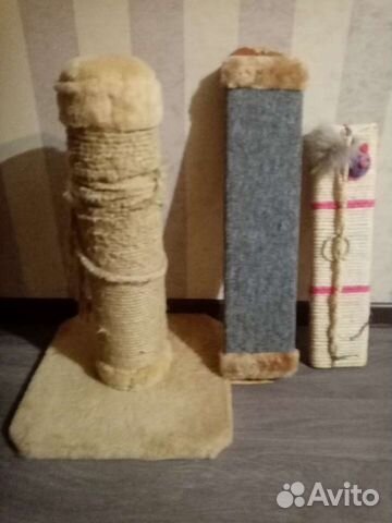 Когтеточка