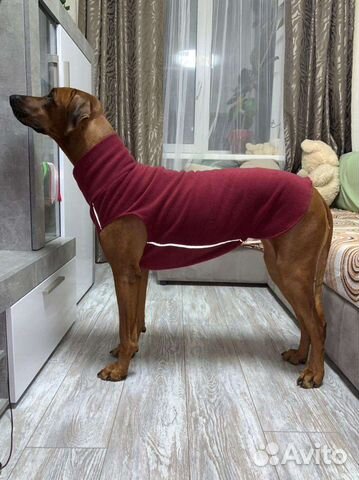 Одежда/жилетка для крупных пород собак