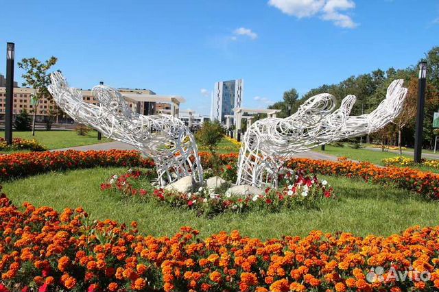 

1-к. квартира, 50 м², 8/11 эт.