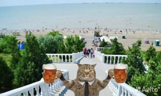 

3-к. дом, 63,7 м²