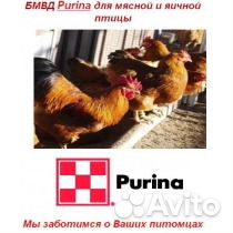 Комбикорм Пурина для с/х животных и птиц купить на Зозу.ру - фотография № 5