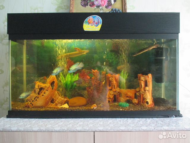Продам аквариум 150 литров, 100 литров, 50 литров купить на Зозу.ру - фотография № 10