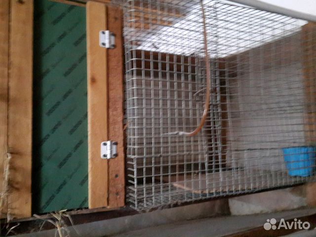Клетки для кроликов из оцинкованной сварной сетки купить на Зозу.ру - фотография № 2