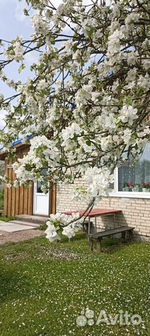 

3-к. квартира, 65 м², 7 кроватей
