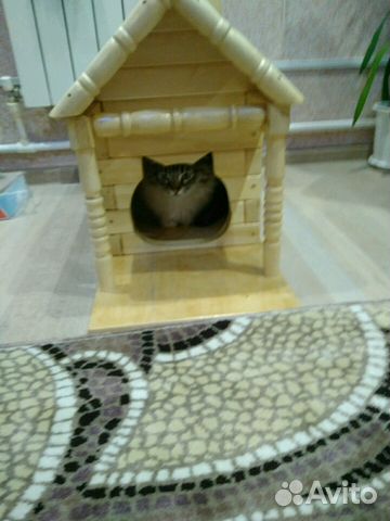 Деревянный домик для кота купить на Зозу.ру - фотография № 5