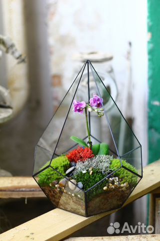 Флорариум, доставка цветов