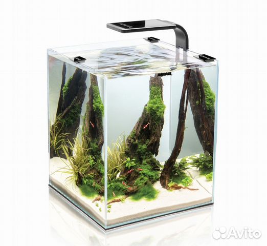 Нано аквариумы 30-50-55 литров 3 штуки купить на Зозу.ру - фотография № 1