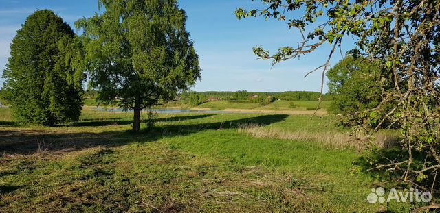 Вяземский р-н, станция семлёво. Деревня орлянка вяземский район. Вяземский район , деревня железнодорожный. Замощье, ул. Земля вязьма.