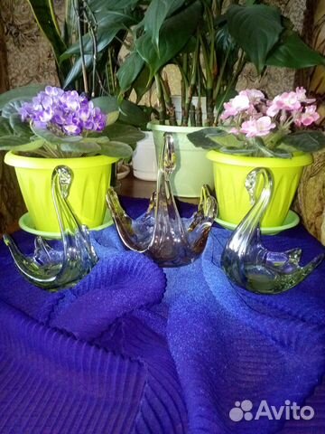 Лебеди. Стекло Лебеди. Стекло