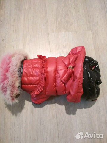 Зимняя куртка на собаку купить на Зозу.ру - фотография № 1