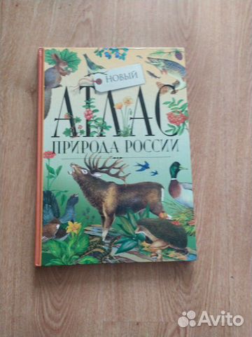 Книга про животных Книга про животных