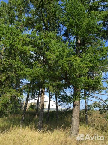 Участок 8 сот. (ИЖС)