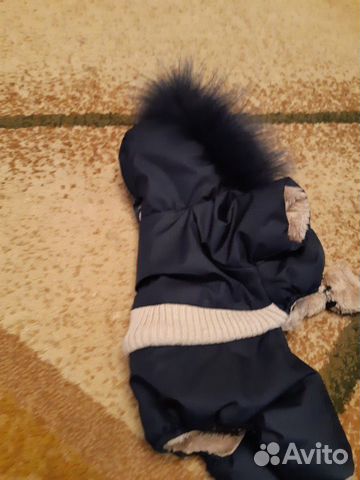 Одежда для собак комбинезон тёплый купить на Зозу.ру - фотография № 2