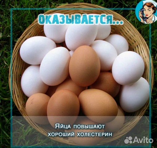 9 февраля суточные цыплята домашни и серебристые купить на Зозу.ру - фотография № 1