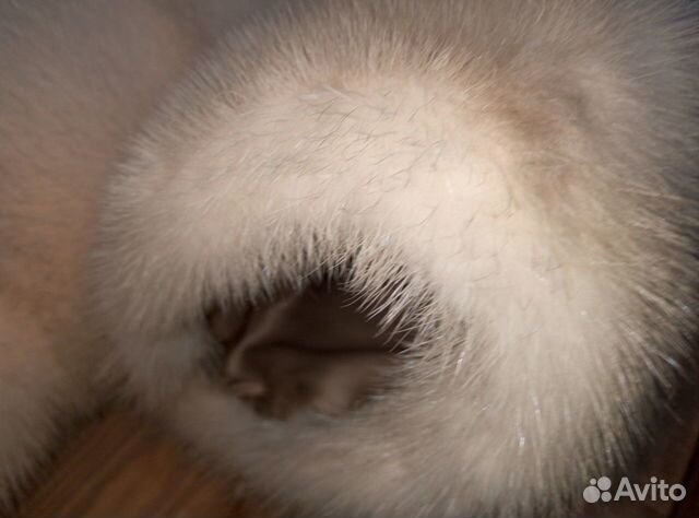 Шуба норковая Шуба норковая