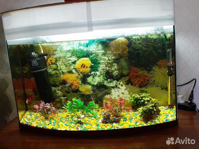 Оквариум с рыбками 100 л купить на Зозу.ру - фотография № 2